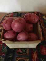 Redpotatoes