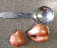 Shallots